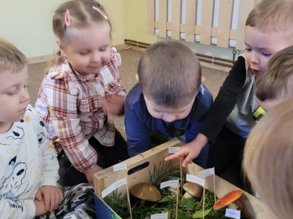 Dary jesieni przygotowane przez mamę Wiktorii 😁 Dziękujemy😁