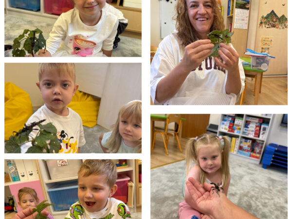 Zajęcia języka angielskigo z Panią Asią 😊